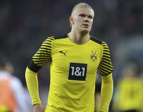 全运马术｜荣耀归来，广东马术三项赛再度封王的背后（全运马术丨广东马术三项赛再封王：荣耀背后的故事）